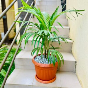 essaie de produit sans retouche